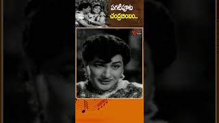 పగటిపూట చంద్రబింబం Pagatipoota Chandrabimbam Song  Chikkadu Dorakadu Movie shorts youtubeshorts [upl. by Juakn]