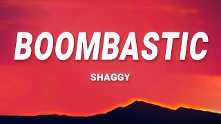 Shaggy  Mr Boombastic Lyrics [upl. by Nnyltiac]