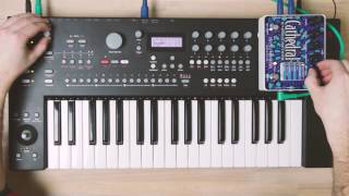 Hicut Cake Classics  JS Bach – Invention No 13 in A Minor  Analog Keys  EHX Cathedral [upl. by Eyanaj979]