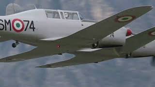 Fiat G46 old airplanes low pass during airshow [upl. by Pierson327]