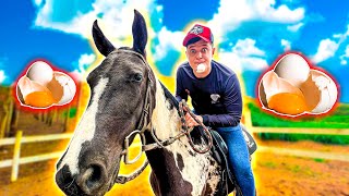 CORRIDA a CAVALO com OVO [upl. by Atoked]