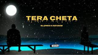 Tera Cheta  Maninder Batth amp Pav Dharia slowed amp reverb [upl. by Yelkao]