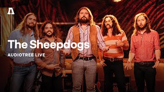 The Sheepdogs on Audiotree Live Full Session 2 [upl. by Ynaittirb19]