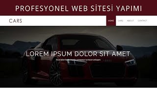 Profesyonel Web Sitesi Nasıl Yapılır  Ders 0 [upl. by Neumark887]