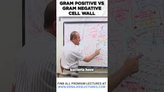 Gram Positive vs Gram Negative Cell Wall drnajeeb drnajeeblectures bacterialcellwall [upl. by Ramirolg591]