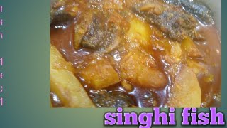 singhi fish curry Recipe সিংঘি মাছের ঝোল সুস্বাদু রান্না [upl. by Morita927]