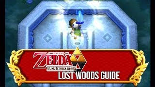 Lost Woods Guide  The Legend of Zelda A Link Between Worlds [upl. by Hairahs]