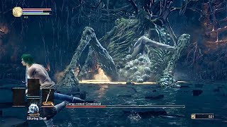 DS3  Curse Rotted Greatwood  SL1 No RollBlockParryDamage [upl. by Neiluj]