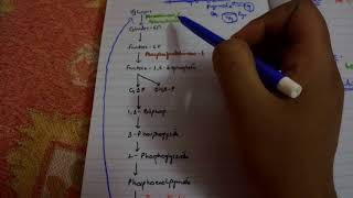 GLUCONEOGENESIS complete EASIEST explanation part 1 [upl. by Moffat36]