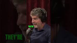 Joe Rogan amp Bret Weinstein on Trumps Potential New Presidency and the Fearmongering Surrounding It [upl. by Liris]