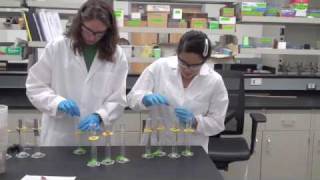 Anaerobic Biodegradation Experiment [upl. by Branen]