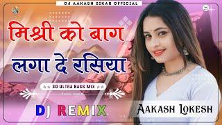 Misri Ko Baag Laga De Rasiya  मिश्री को बाग लगा दे रसिया  3D Brazil Mix  Rajasthani Song Remix [upl. by Gar779]