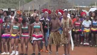 Isandlwana wedding [upl. by Selegna890]