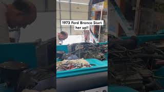 1973 Ford Bronco Start her up 2024 ford bronco car truck viral fyp motor 302 dad beef [upl. by Brent142]