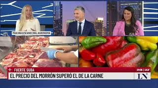 Fuerte suba escala el precio del morrón y el tomate [upl. by Alih361]