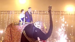 Reception Entry Elephant BEST OF 2018 Parimal Weds Rajal [upl. by Prevot160]