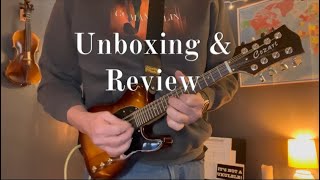 I Bought the Cheapest Electric Mandolin on EBay Cozart Electric Mandolin Unboxing and Review [upl. by Curry705]