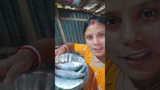 Ilish mach recipeilish fishvillage food ilishrecipe cooking ilishfishrecipe recipe [upl. by Aicenert344]