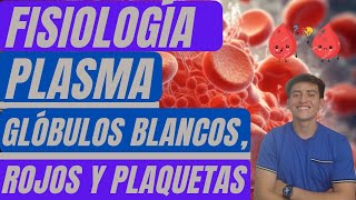 ¿CÚALES son las PROPIEDADES de la SANGRE FISIOLOGÍA y elementos FORMES [upl. by Seidler]