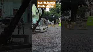 Rua da Moeda  Recife Antigo [upl. by Mandel691]