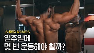 【분할법】 2분할 3분할 운동 횟수가 아주 중요합니다 분할법반복수루틴짜는법 [upl. by Garihc]