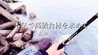 極寒の海へ本気で高級食材を求めて釣りに行った結果… [upl. by Nolur]