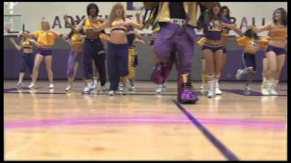 LSU Tiger Girls and Mike the Tiger  quotWhip My Hairquot [upl. by Sibylla521]