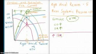 Easy Ways to Understand Cardiac and Vascular Function Curves [upl. by Westfall]