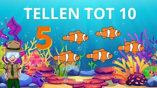 Leren Tellen Nederlands ☆ Van 1 tot 10 Leren Tellen ☆ Cijfers Leren Voor Peuters En Kleuters ☆ [upl. by Tedra]