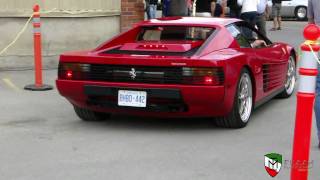 Ferrari Testarossa [upl. by Lad]