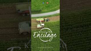 Teaser  Ensilage 2024  krone 780  GAEC Ducreux agriculturephotos [upl. by Miharbi]