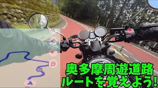 奥多摩周遊道路ルート [upl. by Joanie]