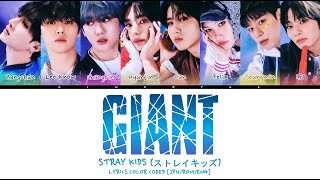 STRAY KIDS ストレイキッズ  GIANT LYRICS COLOR CODED JPNROMENG [upl. by Ynahpets24]