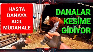 DANALARI KESTİRİYORUZ amp HASTA HAYVANA ACİL MÜDAHALE amp ÇİFTLİK ZİYARETLERİ keşfet rotayem tekirdağ [upl. by Osborn]