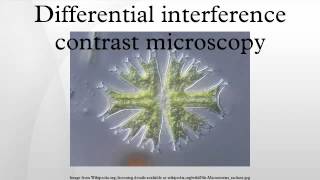 Differential interference contrast microscopy [upl. by Lewellen805]