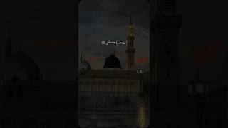 Ae Saba Mustafa ﷺ se Keh Dena Gham ke Maare Salam Kehte Hain  shorts short shortvideo trending [upl. by Noach178]