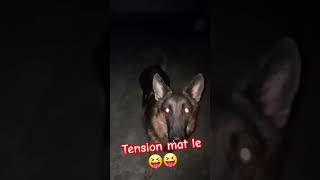 Tension mat leyoutubeshorts shortvideo germensheperd viralshort meme [upl. by Aicssej546]