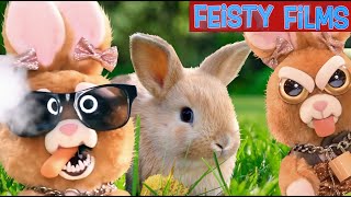 Bunnies Are Funny Feisty Compilation [upl. by Anit464]