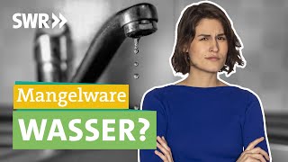 Wird in Deutschland das Wasser knapp Klimawandel Landwirtschaft Industrie amp Co I Ökochecker SWR [upl. by Anomahs]