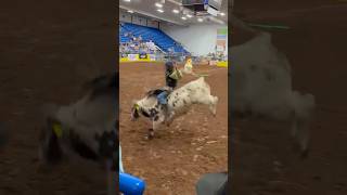 Lawton OK XBulls PRCAProRodeo 2024 [upl. by Ogawa]