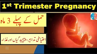 Pregnancy 1st Trimester Tips  Hamal Ke Pehle 3 Maah  1 3 months of Pregnancy  Urdu Hindi 🌐 [upl. by Kcirted]