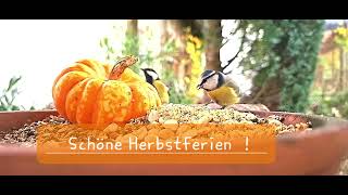 Schöne Herbstferien [upl. by Lucier175]