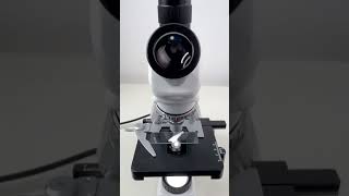 Scallion magnified 400 times is surprisingshorts fyp science microscope shortsvideo [upl. by Eeryn]