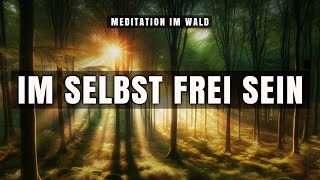 Meditation im Wald 🦉 Im Selbst Frei Sein [upl. by Jurdi705]