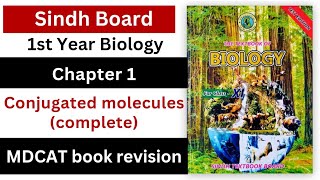 conjugated molecules  biological molecules MDCAT series class 11 biology Sindh board New book [upl. by Silisav]