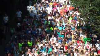 Humber Bridge Half Marathon START 2013 [upl. by Toffic]