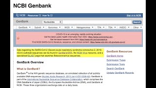 Nucleotide Sequences  GenBank [upl. by Barret]