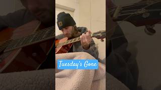 Tuesday’s Gone… acousticcover lynyrdskynyrd countrymusic [upl. by Boaten]