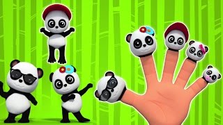 Baby Bao Panda  dito Famiglia  Fumetto 3D per i bambini  video educativo  Finger Family [upl. by Ful]