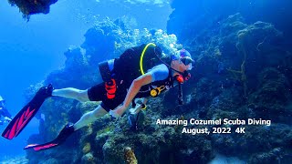 Amazing Cozumel Scuba Diving August 2022 in 4K [upl. by Haret]